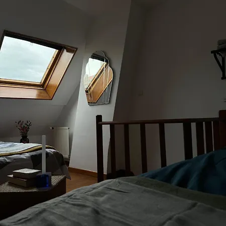 公寓 Luxury 2br 1lr Apt, 14min Walk To St Bavo Cathedral *